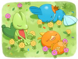 Rule 34 | animal focus, closed eyes, closed mouth, field, flower, gen 3 pokemon, grass, highres, lying, mudkip, nintendo, no humans, oawa oo, on back, on stomach, open mouth, pokemon, pokemon (creature), pokemon focus, sitting, sleeping, starter pokemon trio, torchic, treecko