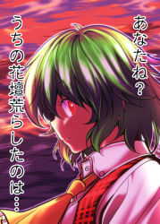 1girl ascot female_focus green_hair kazami_yuuka plaid_clothes plaid_vest red_eyes satou_yuuki short_hair solo touhou translation_request vest
