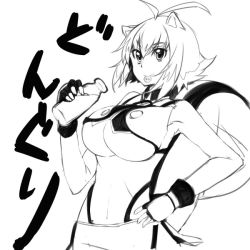 Rule 34 | 1girl, animal ears, blazblue, breasts, female focus, large breasts, makoto nanaya, milk, solo, squirrel ears, squirrel tail, tail, underboob