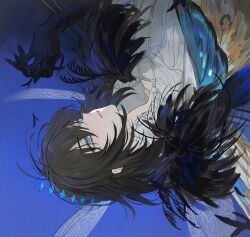 Rule 34 | 1boy, absurdres, arthropod boy, arthropod limbs, black hair, blue background, blue eyes, cape, collared shirt, crown, dragonfly wings, fate/grand order, fate (series), frilled shirt, frills, fur-trimmed cape, fur trim, hair between eyes, hand up, highres, looking up, male focus, oberon (fate), oberon (third ascension) (fate), parted lips, popped collar, shirt, short hair, solo, upper body, upside-down, white shirt, yurumawari