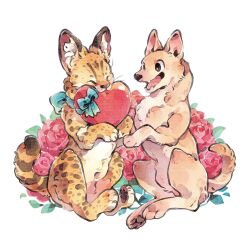 animal animal_couple animal_focus animalk closed_eyes commentary couple dog english_commentary flower heart highres holding holding_heart no_humans open_mouth original pawpads rearing red_flower red_rose rose serval shiba_inu simple_background smile spotted_fur white_background