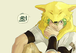 Rule 34 | 1boy, black eyes, black shirt, closed mouth, commentary, cropped jacket, english commentary, expressionless, fox hat, green hair, grey background, hand on own cheek, hand on own face, hunter (ragnarok online), korean text, looking down, male focus, memoryjoule, ragnarok online, shirt, short sleeves, simple background, solo, upper body
