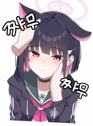 Rule 34 | 1girl, :&lt;, absurdres, animal ears, black choker, black hair, black hoodie, black jacket, blue archive, blush, breasts, cat choker, cat ears, choker, colored inner animal ears, colored inner hair, commentary request, cropped torso, extra ears, green sailor collar, hair ornament, hairclip, halo, highres, hood, hoodie, jacket, kazusa (blue archive), korean commentary, korean text, long sleeves, looking at viewer, multicolored hair, neckerchief, pink hair, pink halo, pink neckerchief, pov, pov hands, red eyes, sailor collar, short hair, simple background, single ear down, solo focus, trinity general school logo, two-tone hair, vector (dmlddmld00), white background