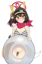 1girl absurdres animal_ears bikini bikini_top_only blue_archive blush bottomless brown_hair commentary_request female_pubic_hair flower fox_ears fox_girl fox_tail gluteal_fold hair_flower hair_ornament halo highres innertube izuna_(blue_archive) izuna_(swimsuit)_(blue_archive) looking_at_viewer nose_blush official_alternate_costume pubic_hair pussy red_halo saragebu simple_background solo striped_bikini striped_clothes sunflower sunflower_hair_ornament sweatdrop swim_ring swimsuit tail uncensored visor_cap white_background yellow_eyes