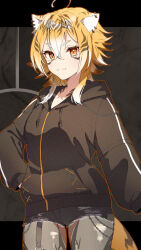 1girl ahoge animal_ear_fluff animal_ears black_shorts blonde_hair brown_jacket copyright_request ear_piercing grey_pantyhose hand_in_pocket highres hood hood_down hooded_jacket jacket long_sleeves multicolored_hair orange_eyes pantyhose pantyhose_under_shorts piercing puffy_long_sleeves puffy_sleeves short_shorts shorts solo tail thick_eyebrows tomozero torn_clothes torn_pantyhose two-tone_hair virtual_youtuber white_hair