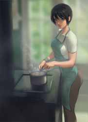 1girl apron black_hair blurry blurry_background breasts brown_eyes cooking grin infi looking_at_viewer medium_breasts mikasa_ackerman pot shingeki_no_kyojin short_hair smile solo standing steam stove