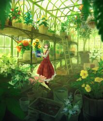 1girl ascot bo_cota flower flower_pot green_hair greenhouse highres holding holding_flower_pot kazami_yuuka long_sleeves looking_at_viewer medium_hair plaid_clothes plaid_skirt plaid_vest plant potted_plant red_eyes red_skirt red_vest shirt shoes skirt solo standing touhou vest white_shirt yellow_ascot