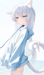 Rule 34 | 1girl, animal ears, blue eyes, blue hoodie, cat ears, cat girl, cat tail, collar, commentary request, highres, hood, hood down, hoodie, leash, long hair, long sleeves, looking at viewer, no pants, original, oversized clothes, parted lips, sese nagi, skindentation, sleeves past fingers, sleeves past wrists, tail, thighhighs, white thighhighs