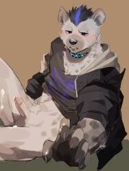 1boy abs arknights black_jacket black_shirt blush claws clothes_lift commentary cum erection foreskin grey_fur highres hood hood_down hooded_jacket hyena_boy hyena_ears infection_monitor_(arknights) jacket looking_to_the_side male_focus no_pants outstretched_hand pawpads pluto_(pu94_d1de4c) shirt shirt_lift sitting spot_(arknights) spotted_fur symbol-only_commentary