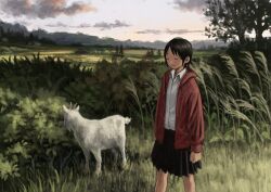 1girl animal black_hair black_skirt bush closed_eyes cloud cloudy_sky collared_shirt drawstring evening goat grass highres hood hood_down hooded_jacket jacket landscape open_clothes open_jacket original outdoors pleated_skirt red_jacket scenery shirt shirt_tucked_in short_hair skirt sky smile solo standing tree wabuchi white_shirt