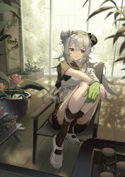 1girl absurdres arknights asymmetrical_sleeves black_bloomers black_eyes black_socks bloomers bun_cover chair chinese_clothes closed_mouth commentary_request crate dappled_sunlight double_bun feather_hair flower gloves green_gloves greenhouse grey_hair hair_bun hanging_scroll highres indoors jar legs_up long_hair lotus mulberry_(arknights) mulberry_(plant_crude_drug)_(arknights) natsuba002 official_alternate_costume on_chair plant potted_plant scroll shoes single_glove sitting socks solo sunlight underwear white_shoes window wooden_floor