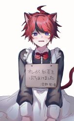 1boy ahoge alternate_costume animal_ears black_streaks blue_eyes blush bow bowtie cat_boy cat_ears cat_tail crossdressing crossdressing_(mtf) dress enmaided frills highres looking_at_viewer maid male_focus male_maid multicolored_hair phpepepe red_bow red_bowtie red_hair short_hair sign simple_background solo streaked_hair sumino_takumi sweat tail the_hundred_line_-last_defense_academy- wearing_sign white_background