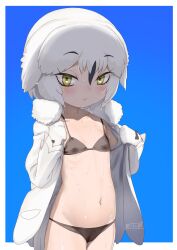 1girl absurdres bikini black_bikini black_hair character_request highres kemono_friends looking_at_viewer masuyama_ryou multicolored_hair navel solo swimsuit white_hair yellow_eyes