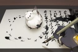 1boy bird black_gloves calligraphy_brush chisuke_1104 commentary_request genshin_impact gloves holding holding_brush ink inkwell jewelry looking_at_viewer paintbrush paper pov pov_hands symbol-only_commentary thumb_ring zhongli_(genshin_impact)