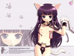 00s 1girl animal_ears bdsm black_collar blue_eyes bondage bound breasts cat_ears cat_tail chain chain_leash chastity_belt collar english_text engrish_text female_focus flat_chest hazuki_(tsukuyomi) kouguchi_moto leash loli long_hair looking_at_viewer money mouth_hold name_tag navel nipple_piercing nipple_stimulation nipple_tag nipple_torture nipples nude piercing purple_hair ranguage safety_pin slave solo tail tsukuyomi_moonphase yen