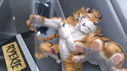 1boy abs animal_ears bara beige_fur completely_nude erection facial_hair foot_out_of_frame foreshortening furry furry_male goatee grin highres large_pectorals live_a_hero looking_at_viewer male_focus male_pubic_hair mature_male muscular muscular_male navel nipples no_mask nude orange_fur pectorals penis precum pubic_hair ryekie_(live_a_hero) short_hair skarltano smile solo stomach tail thick_eyebrows tiger_boy tiger_ears tiger_tail twitching_penis uncensored