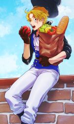 Rule 34 | 1boy, ascot, bag, black hat, blonde hair, blue sky, bread, brown gloves, commentary request, food, gloves, groceries, grocery bag, hat, highres, holding, holding food, lettuce, looking at viewer, male focus, one piece, open mouth, sabo (one piece), scar, scar on face, shopping bag, short hair, sitting, sky, solo, tagawa jiro, tomato, white ascot