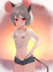 Rule 34 | 1girl, alternate costume, animal ears, bikini, bikini under clothes, blush, breasts, commentary request, cowboy shot, dakuazu, grey hair, grey shorts, grin, highres, looking at viewer, mouse ears, mouse girl, mouse tail, navel, nazrin, open fly, orange sky, outdoors, paid reward available, red eyes, see-through clothes, see-through shirt, shirt, short hair, short sleeves, shorts, sky, small breasts, smile, solo, sunset, sweat, swimsuit, tail, touhou, wet, wet clothes, wet shirt, white shirt