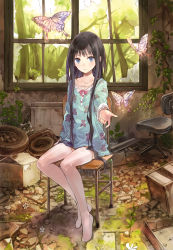 1girl absurdres black_hair blue_eyes broken_window bug butterfly chair collarbone commentary_request full_body highres indoors insect kami-sama_no_memo-chou kishida_mel long_hair looking_at_viewer no_shoes outstretched_arm overgrown pajamas reaching reaching_towards_viewer ruins shionji_yuuko sidelocks sitting solo tagme thighhighs very_long_hair white_thighhighs window zettai_ryouiki