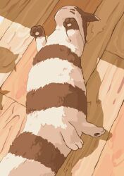 Rule 34 | aomon (yuuji7604), brown fur, commentary, creatures (company), fluffy, furret, game freak, gen 2 pokemon, highres, indoors, nintendo, no humans, on floor, pawpads, pokemon, pokemon (creature), rolling, shadow, solo, striped fur, two-tone fur, upside-down, white fur, wooden floor