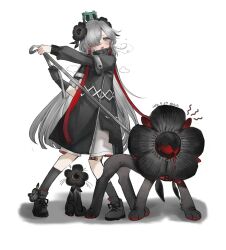 1girl bandaid bandaid_on_knee bandaid_on_leg black_flower black_shoes black_socks blush cat creature dated fingerless_gloves flower gloves gomidasu_(kamitsubaki_studio) grey_eyes grey_hair hair_flower hair_ornament hair_over_one_eye highres holding holding_leash isekaijoucho jacket kamitsubaki_studio kp3963 leash long_hair multicolored_hair open_mouth red_hair shoes simple_background single_glove socks standing sweatdrop two-tone_hair white_background