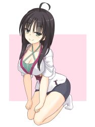 1girl ahoge black_hair black_shorts breasts cleavage closed_mouth collarbone commentary_request criss-cross_halter green_eyes green_shirt hair_between_eyes halterneck hands_on_own_thighs highres hitachi_mako japanese_clothes kimono kneeling large_breasts leaning_forward light_blush looking_at_viewer no_shoes pink_background senren_banka shirayamakoma shirt short_hair_with_long_locks shorts simple_background sleeves_rolled_up smile socks solo split_mouth straight_hair striped_clothes striped_shorts thighs tiptoes two-tone_background vertical-striped_clothes vertical-striped_shorts white_background white_kimono white_socks