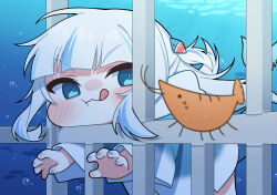 1girl animal_costume animal_hood blue_hair blue_hoodie blunt_bangs blush ebi-chan_(gawr_gura) fins fish_tail gawr_gura hair_ornament highres hololive hololive_english hood hoodie multicolored_hair shark_costume shark_girl shark_hair_ornament shark_hood shark_tail solo streaked_hair tail tongue tongue_out ugaaaa1 underwater virtual_youtuber white_hair