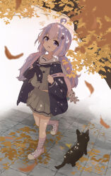 autumn autumn_leaves bag beads black_cat black_neckerchief blue_archive blue_hair cat falling_leaves full_body grey_serafuku grey_skirt hair_beads hair_ornament halo highres leaf looking_at_viewer low_twintails multicolored_hair neckerchief open_mouth orange_leaf pink_bag pink_hair pink_halo pink_socks purple_bag purple_shoes purple_socks reisa_(blue_archive) sailor_collar school_bag school_uniform serafuku shoes skirt socks star_(symbol) star_hair_ornament star_halo striped_clothes striped_socks tree twintails user_uecy3552 walking white_sailor_collar