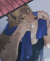 1boy aizawa_(nh_st) black_sclera black_tank_top body_fur brown_fur claws colored_sclera furry furry_male green_eyes grey_background highres male_focus muscular muscular_male original rain solo tank_top towel towel_around_neck upper_body wolf_boy
