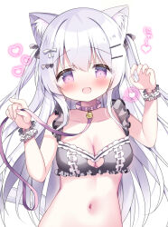1girl :d animal_ear_fluff animal_ears azumi_kazuki bell black_bra blush bow bra breasts cleavage cleavage_cutout clothing_cutout collar collarbone commentary_request frilled_bra frills grey_hair hair_between_eyes hands_up heart heart_cutout highres holding holding_leash jingle_bell leash long_hair looking_at_viewer medium_breasts nail_polish navel open_mouth original pink_bow pink_collar pink_nails purple_eyes ribbon-trimmed_bra ribbon_trim simple_background smile solo spoken_heart translation_request two_side_up underwear underwear_only upper_body very_long_hair white_background wrist_cuffs
