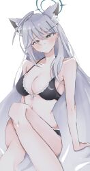 1girl absurdres animal_ear_fluff animal_ears black_bra black_panties blue_archive blue_eyes blush bra breasts cleavage closed_mouth extra_ears grey_hair hair_behind_ear hair_between_eyes highres large_breasts long_hair looking_at_viewer navel nemui_(xjqfw) panties shiroko_(blue_archive) shiroko_terror_(blue_archive) solo underwear underwear_only wolf_ears wolf_girl