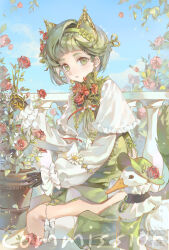 Rule 34 | 1girl, animal, animal ears, artist name, blue sky, cat ears, chain, cloud, day, dress, earrings, flower, frilled dress, frilled sleeves, frills, green dress, green eyes, green hair, green hairband, hair flower, hair ornament, hairband, hat, highres, holding, jewelry, long sleeves, looking at viewer, original, outdoors, parted lips, pink flower, plant, potted plant, puffy long sleeves, puffy sleeves, red flower, red rose, ribbon, rose, shirt, short hair, sitting, sky, socks, solo, watering can, watermark, white shirt, white socks, xiaoyangchicha