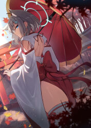Rule 34 | 1girl, absurdres, alternate costume, animal ear fluff, ass, back bow, back cutout, bare back, blue archive, blue eyes, blue halo, bow, closed mouth, clothing cutout, commentary, cross hair ornament, extra ears, from behind, grey hair, hair ornament, halo, highres, holding, holding umbrella, japanese clothes, kimono, li se, looking at viewer, miko, red bow, red skirt, red umbrella, shiroko (blue archive), short hair, skirt, solo, tail, thighhighs, umbrella, white kimono, white thighhighs, wolf girl, wolf tail