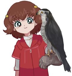 1girl bad_id bad_twitter_id bird blush_stickers brown_eyes brown_hair dot_harai falcon falconry female_focus gloves hamtaro_(series) haruna_hiroko highres inactive_account simple_background smile solo tareme two_side_up white_background