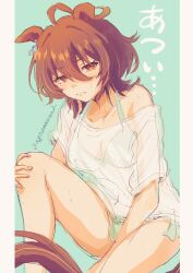 Rule 34 | 1girl, agnes tachyon (umamusume), agoumauma2, ahoge, animal ears, artist name, bare shoulders, bikini, blush, breasts, brown hair, chemical structure, cleavage, closed mouth, collarbone, earrings, embarrassed, green bikini, hair between eyes, hair tie, hand on own knee, highres, horse ears, horse girl, horse tail, huge ahoge, jewelry, knee up, large breasts, medium hair, off shoulder, red eyes, see-through clothes, see-through sleeves, shirt, signature, single earring, solo, sweat, swimsuit, tail, twitter username, umamusume, white shirt, wolf cut