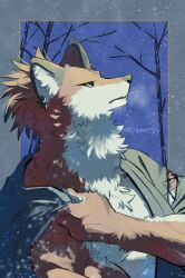 1boy aizawa_(nh_st) bare_tree body_fur breath brown_fur brown_hair commentary_request furry furry_male highres japanese_clothes kimono looking_to_the_side male_focus original ponytail short_hair snow solo tree upper_body wolf_boy yellow_eyes