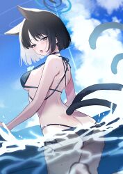 absurdres animal_ears bikini black_eyes black_tail blue_archive blue_bikini blue_halo blue_tail cat_ears cat_girl cat_tail gradient_tail halo highres kikyou_(blue_archive) kikyou_(swimsuit)_(blue_archive) layered_bikini multi-strapped_bikini_bottom multiple_tails nadentd official_alternate_costume swimsuit tail two_tails