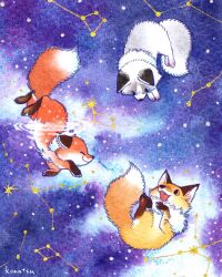 Rule 34 | altair (star), animal, animal focus, annotated, aquila (constellation), artist name, blue eyes, commentary request, constellation, cygnus (constellation), delphinus (constellation), deneb (star), draco (constellation), fangs, fluffy, fox, highres, konatsu tunacan, lyra (constellation), no humans, open mouth, orange eyes, orange fur, original, painting (medium), partially submerged, pawpads, signature, smile, star (sky), star map, traditional media, vega (star), watercolor (medium), white fur