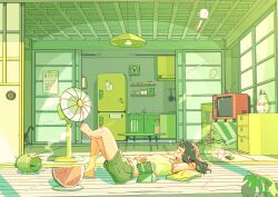 Rule 34 | 1girl, absurdres, arm pillow, armpits, bag, black cat, book, bookshelf, cabinet, calendar (object), cat, ceiling light, chest of drawers, closed eyes, collarbone, commentary request, crop top, crossed legs, dial, drawstring, electric fan, english text, faucet, fish, fishbowl, food, fruit, frying pan, glass jar, glasses, green shorts, green tank top, green theme, hand on own stomach, hanging light, highres, indoors, jar, kitchen, knees up, living room, lying, magnet, navel, note, on back, on floor, open book, original, paper towel, parted lips, pillow, plant, plate, potted plant, rabbit ears antenna, refrigerator, refrigerator magnet, salt shaker, shorts, shouji, sleeping, sliding doors, spaghetti strap, summer, tank top, television, toenails, toes, towel, vase, water, watermelon, watermelon slice, wide shot, window shadow, wooden floor, yasi irasuto