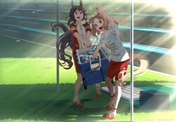 2girls admire_vega_(umamusume) animal_ears blonde_hair box brown_eyes brown_hair commentary_request cooler ear_covers hair_between_eyes holding horse_ears horse_girl horse_tail long_hair long_sleeves low_ponytail multicolored_shoes multiple_girls narita_top_road_(umamusume) outdoors ponytail purple_eyes red_shoes red_shorts shirt shoes short_hair short_sleeves shorts single_ear_cover sleeves_rolled_up sneakers socks summer_uniform t-shirt tail takuzui tracen_training_uniform two-tone_shoes umamusume water white_shoes white_socks