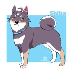 Rule 34 | ahoge, animal focus, animalization, believe (umamusume), blue background, commentary request, dog, ear covers, full body, no humans, onikobe rin, red eyes, shiba inu, short hair, simple background, single ear cover, two-tone background, umamusume, white background
