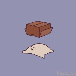 :3 animal_focus animated animated_gif blue_background box cardboard_box cat commentary english_commentary everydayonecat falling hashtag looping_animation no_humans original simple_background white_cat