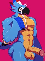 1boy abs ass bara beak bird blush body_fur brown_eyes erection eric_lowery eyelashes furry furry_male highres kass male_focus muscular nintendo open_mouth pectorals penis precum rito simple_background solo standing stomach testicles the_legend_of_zelda the_legend_of_zelda:_breath_of_the_wild veins veiny_penis wide_hips