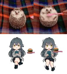 1girl antenna_hair belt black_footwear black_skirt blush_stickers bracelet burger closed_mouth collared_shirt commentary crossed_arms crossed_legs deformed figure_four_sitting food frown full_body gakuen_idolmaster glaring green_shirt grey_belt grey_hair grey_jacket hair_flaps happy hedgehog high_heels highres idolmaster invisible_chair jacket jewelry kamille_(vcx68) lapels long_hair long_sleeves looking_at_viewer looking_to_the_side motion_lines multiple_views notched_lapels open_clothes open_jacket open_mouth photo-referenced photo_inset pigeon-toed plaid_clothes plaid_jacket shirt shirt_tucked_in sideways_glance sitting skirt spoon straight-on tsukimura_temari unhappy white_background