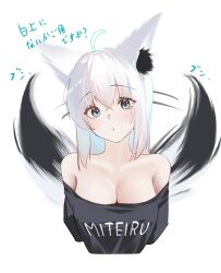1girl ahoge animal_ear_fluff animal_ears black_shirt blue_eyes blush breasts cleavage collarbone commentary_request double-parted_bangs hair_between_eyes highres hololive looking_at_viewer off-shoulder_shirt off_shoulder shirakami_fubuki shirt solo tail tail_wagging tanishi_(hetianming11093) teeth translation_request upper_body upper_teeth_only white_background white_hair