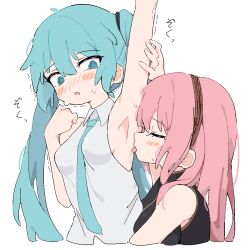 2girls @_@ arm_up armpits black_shirt blue_eyes blue_hair blush breasts brown_hairband closed_eyes collar commentary_request giryu hairband hatsune_miku licking licking_armpit long_hair medium_breasts megurine_luka multiple_girls parted_lips pink_hair shirt simple_background sleeveless sleeveless_shirt sweat tongue tongue_out trembling twintails upper_body vocaloid white_background white_shirt yuri