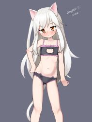 1girl absurdres animal_ears black_bra black_panties bra brown_eyes cat_cutout cat_ear_panties cat_ears cat_lingerie cat_tail clothing_cutout dated feet_out_of_frame flat_chest frilled_bra frills grey_background hand_on_own_hip highres kantai_collection kikuzuki_(kancolle) long_hair maru_(marg0613) one-hour_drawing_challenge panties simple_background solo tail twitter_username underwear white_hair