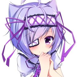 1girl ahoge bandages blush dress emil_chronicle_online eyepatch frilled_dress frills medical_eyepatch omupac own_hands_clasped own_hands_together purple_eyes purple_hair purple_ribbon raised_inner_eyebrows ribbon upper_body white_background white_dress white_familiar_alma