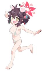 1girl :d ahoge animal_ears areola_slip barefoot bikini blue_archive breasts bright_pupils brown_hair highres kaede_(blue_archive) large_breasts loli looking_at_viewer micro_bikini navel open_mouth oppai_loli outstretched_arms saeki_tatsuya short_hair simple_background smile solo swimsuit toes white_background white_bikini white_pupils yellow_eyes