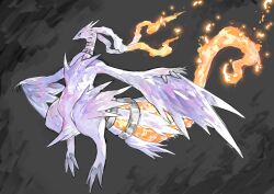 black_background black_sclera blue_eyes claws closed_mouth colored_sclera dragon dragon_wings feathered_wings feathers fiery_tail fire full_body gen_5_pokemon highres legendary_pokemon nintendo no_humans pokemon pokemon_(creature) pokemon_bw reshiram solo tail white_feathers white_fur winged_arms wings yourfreakyneighbourh